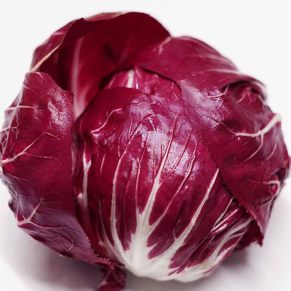 radicchio aufbewahren Radicchio