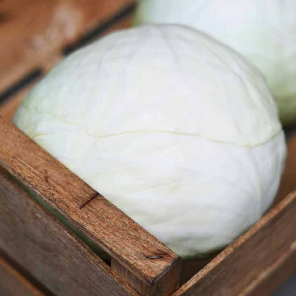 Weißkohl